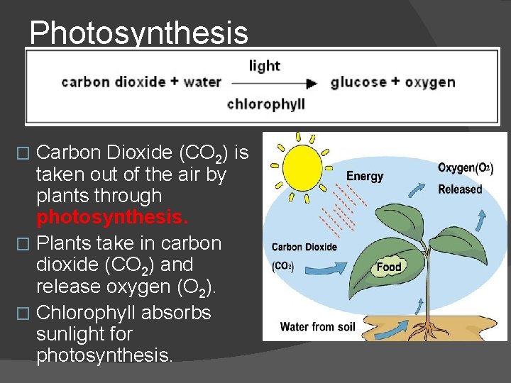 Photosynthesis Carbon Dioxide (CO 2) is taken out of the air by plants through