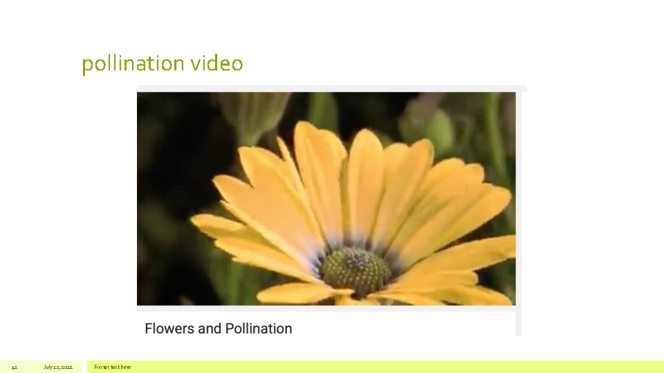 pollination video 42 July 22, 2012 Footer text here 