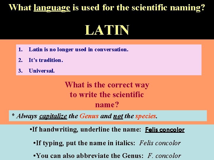 What language is used for the scientific naming? LATIN 1. Latin is no longer