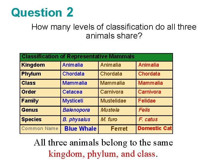 Question 2 How many levels of classification do all three animals share? Classification of