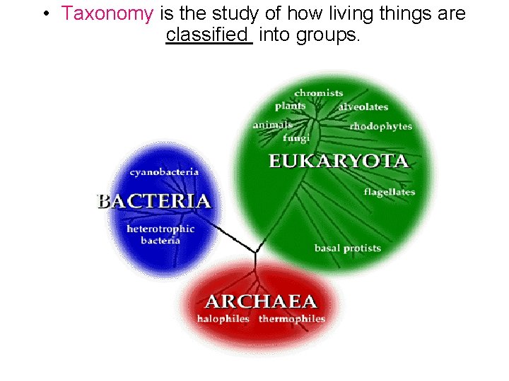  • Taxonomy is the study of how living things are classified into groups.