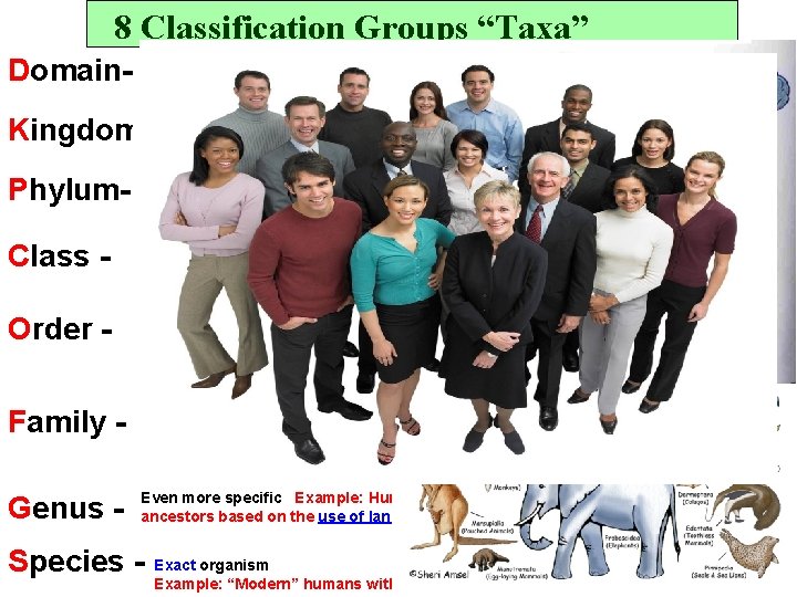 8 Classification Groups “Taxa” Domain- Most broad, only three domains: Archaea, Bacteria, Eukarya Example: