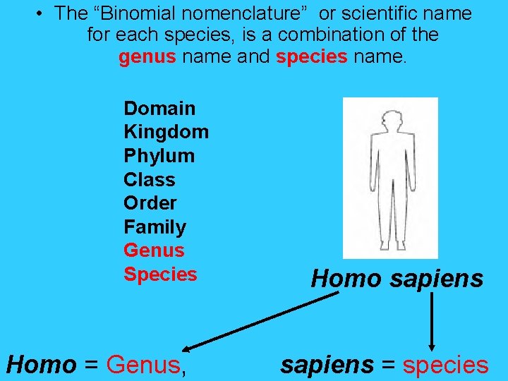  • The “Binomial nomenclature” or scientific name for each species, is a combination
