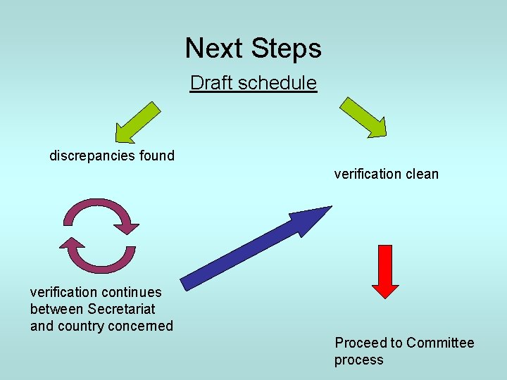 Next Steps Draft schedule discrepancies found verification clean verification continues between Secretariat and country