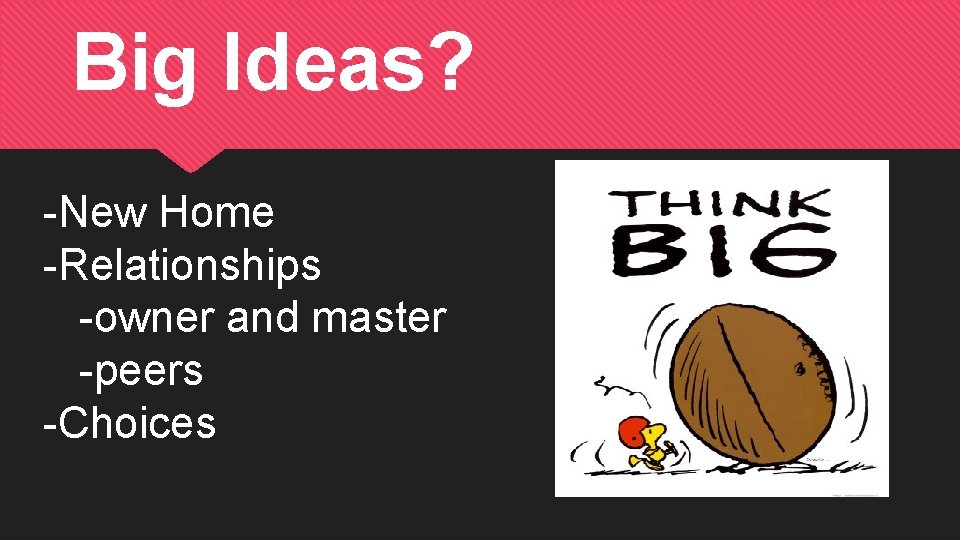 Big Ideas? -New Home -Relationships -owner and master -peers -Choices 