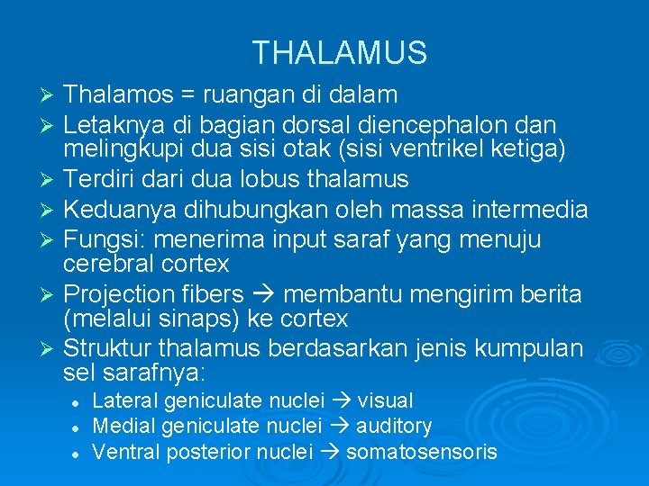 THALAMUS Thalamos = ruangan di dalam Letaknya di bagian dorsal diencephalon dan melingkupi dua