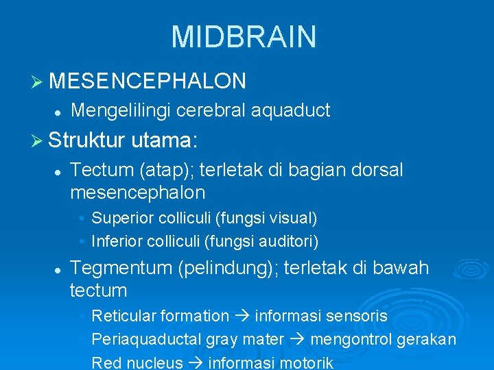 MIDBRAIN Ø MESENCEPHALON l Mengelilingi cerebral aquaduct Ø Struktur utama: l Tectum (atap); terletak