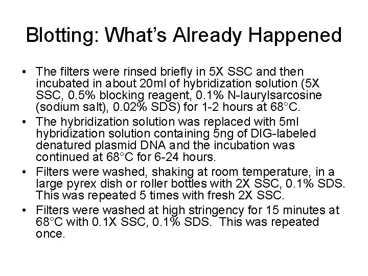 Blotting: What’s Already Happened • The filters were rinsed briefly in 5 X SSC