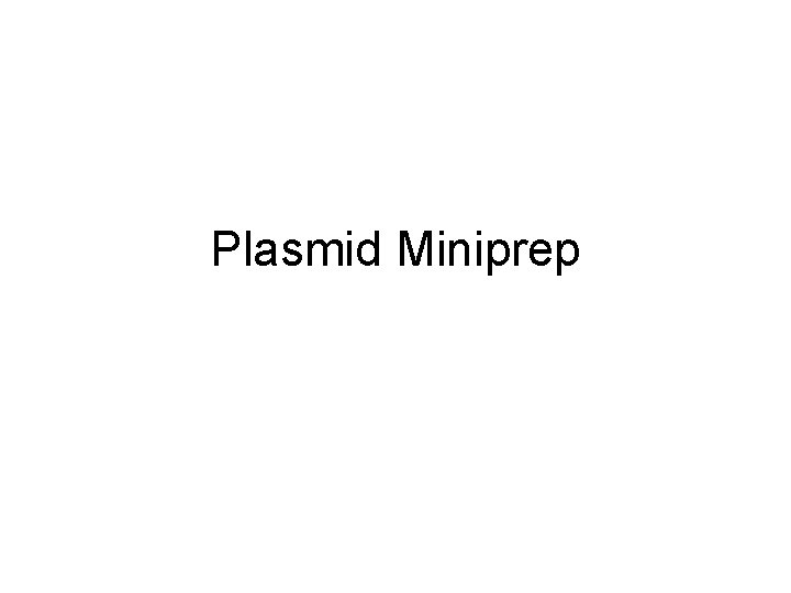 Plasmid Miniprep 