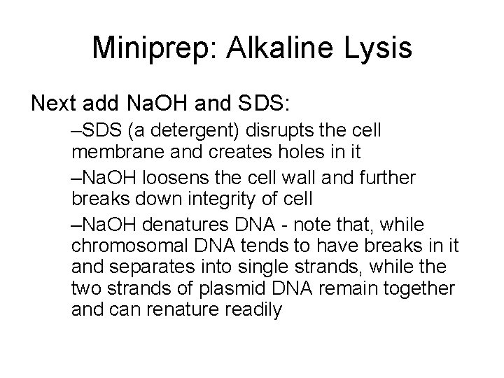 Miniprep: Alkaline Lysis Next add Na. OH and SDS: –SDS (a detergent) disrupts the