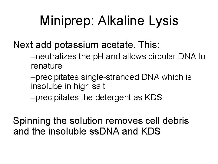 Miniprep: Alkaline Lysis Next add potassium acetate. This: –neutralizes the p. H and allows