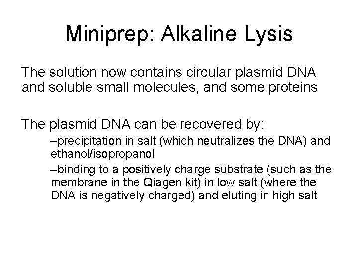 Miniprep: Alkaline Lysis The solution now contains circular plasmid DNA and soluble small molecules,