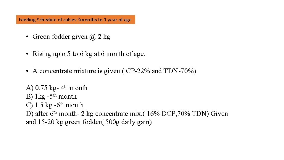 Feeding Schedule of calves 3 months to 1 year of age • Green fodder