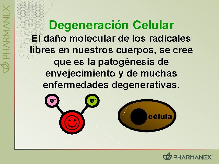 Degeneración Celular El daño molecular de los radicales libres en nuestros cuerpos, se cree