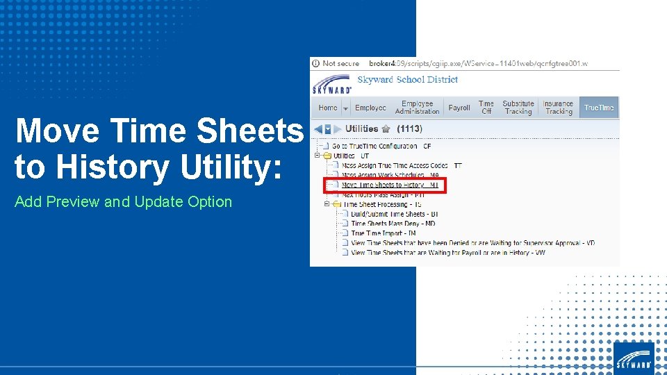 Move Time Sheets to History Utility: Add Preview and Update Option 