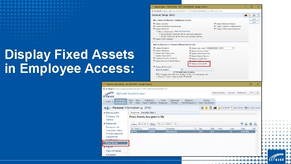 Display Fixed Assets in Employee Access: 
