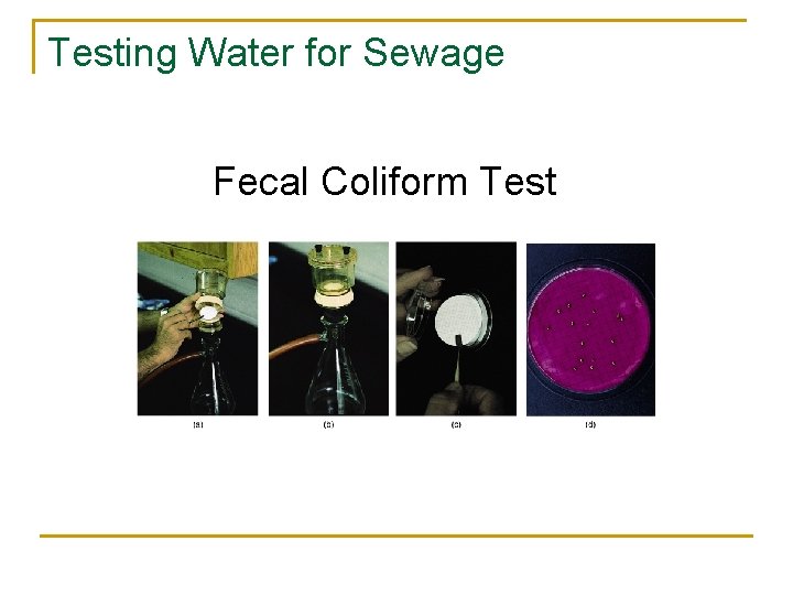 Testing Water for Sewage Fecal Coliform Test 