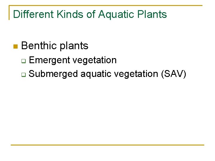 Different Kinds of Aquatic Plants n Benthic plants Emergent vegetation q Submerged aquatic vegetation