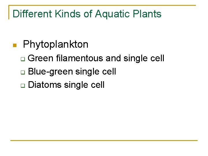 Different Kinds of Aquatic Plants n Phytoplankton Green filamentous and single cell q Blue-green