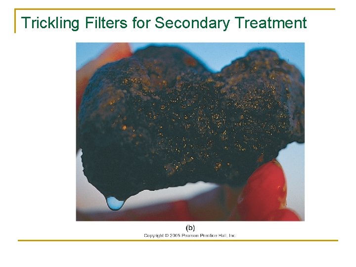 Trickling Filters for Secondary Treatment 