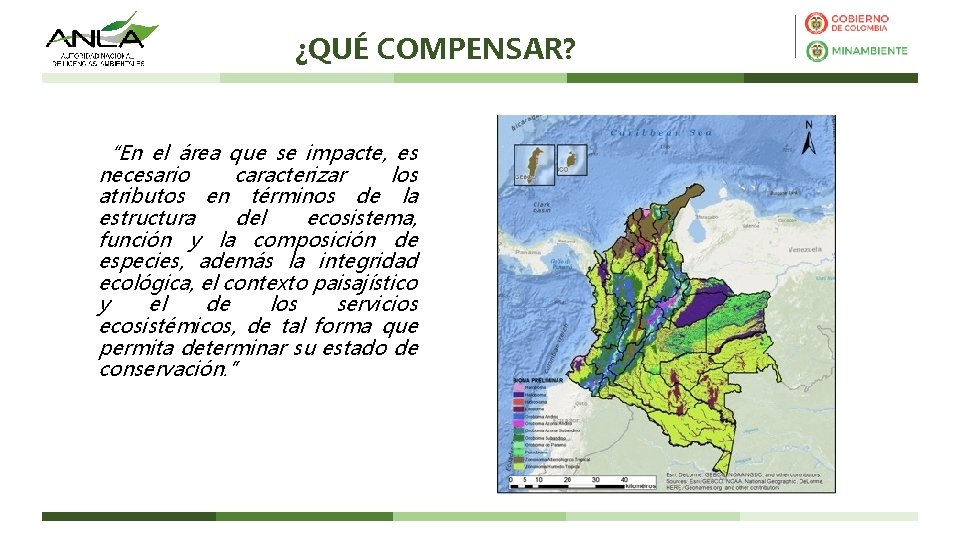 ¿QUÉ COMPENSAR? “En el área que se impacte, es necesario caracterizar los atributos en