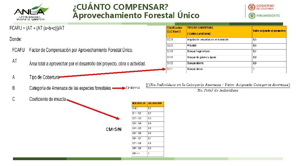 ¿CUÁNTO COMPENSAR? Aprovechamiento Forestal Único 