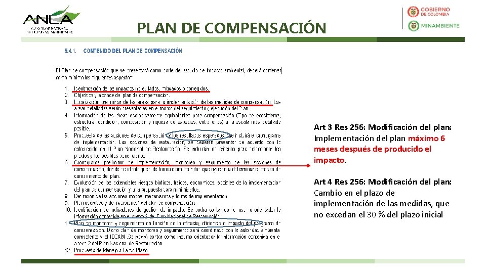 PLAN DE COMPENSACIÓN Art 3 Res 256: Modificación del plan: Implementación del plan máximo