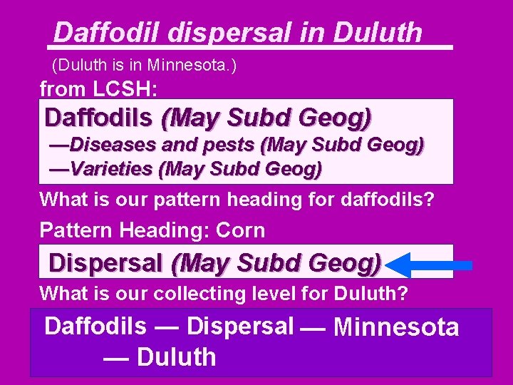 Daffodil dispersal in Duluth (Duluth is in Minnesota. ) from LCSH: Daffodils (May Subd