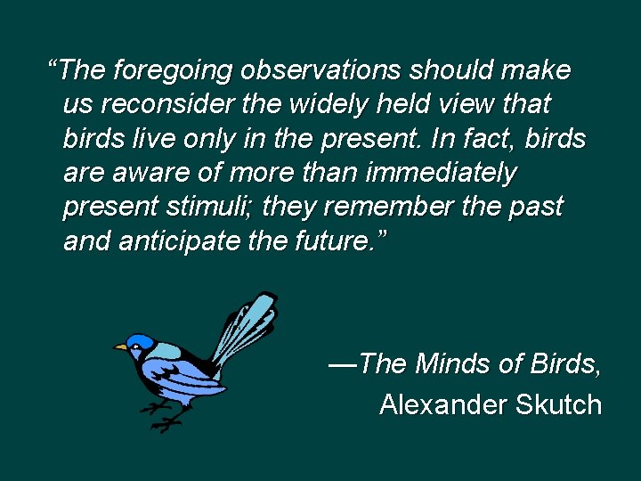 “The foregoing observations should make us reconsider the widely held view that birds live