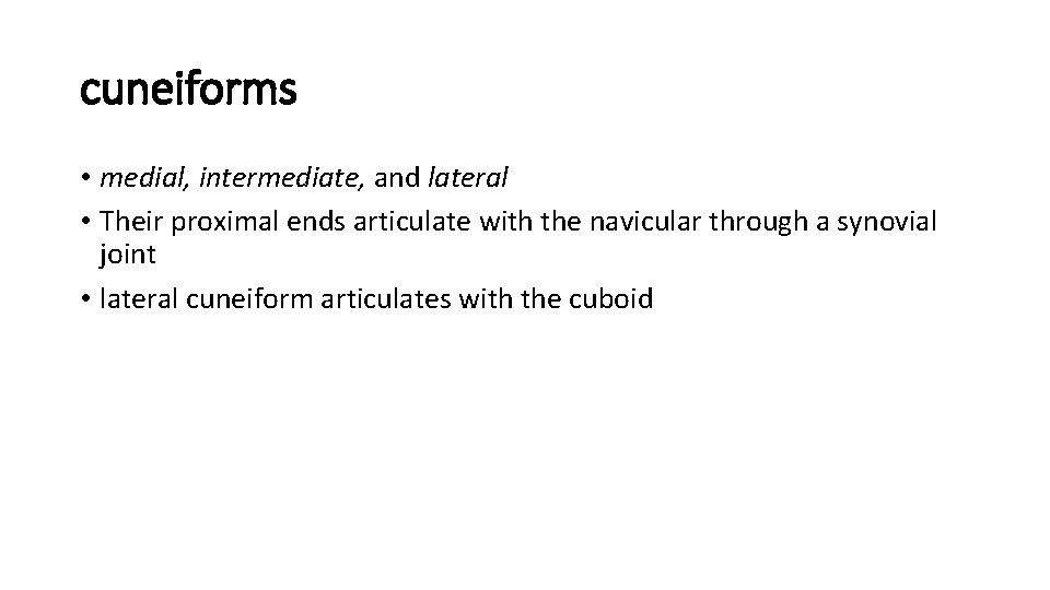 cuneiforms • medial, intermediate, and lateral • Their proximal ends articulate with the navicular