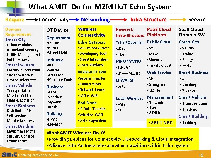What AMIT Do for M 2 M IIo. T Echo System Require Connectivity Domain
