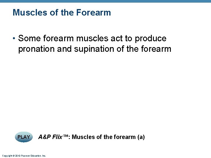 Muscles of the Forearm • Some forearm muscles act to produce pronation and supination