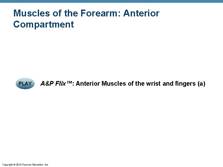 Muscles of the Forearm: Anterior Compartment PLAY A&P Flix™: Anterior Muscles of the wrist