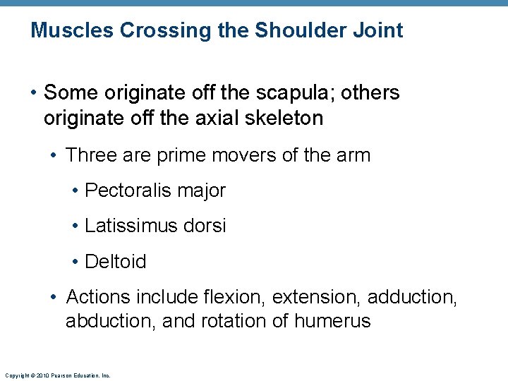 Muscles Crossing the Shoulder Joint • Some originate off the scapula; others originate off