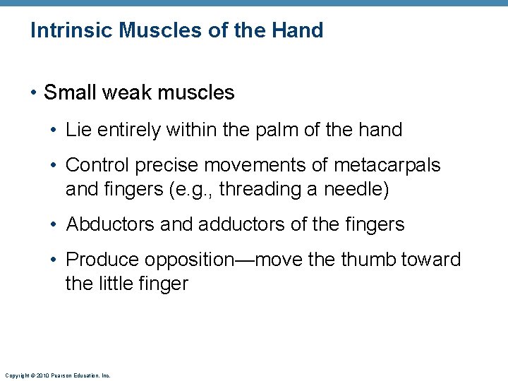 Intrinsic Muscles of the Hand • Small weak muscles • Lie entirely within the