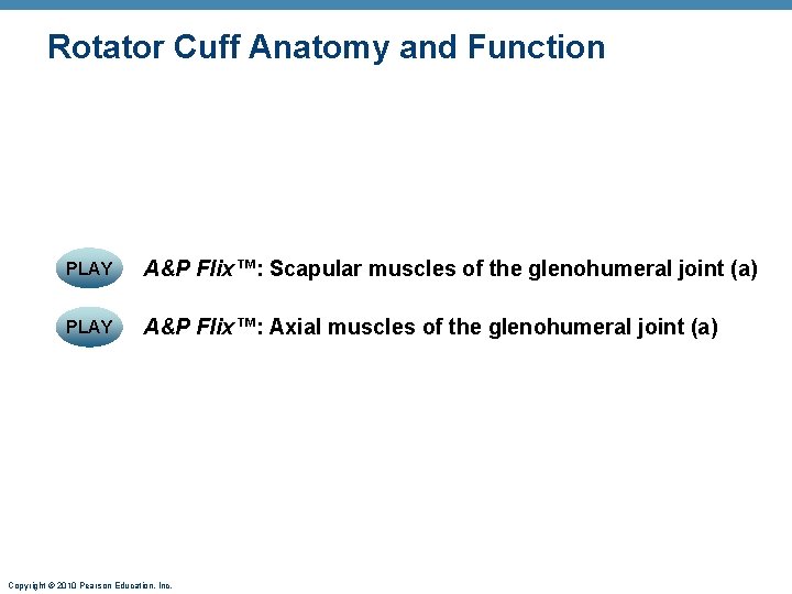 Rotator Cuff Anatomy and Function PLAY A&P Flix™: Scapular muscles of the glenohumeral joint