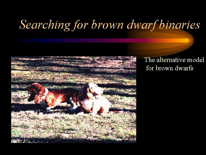 Searching for brown dwarf binaries The alternative model for brown dwarfs 