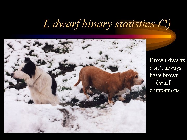 L dwarf binary statistics (2) Brown dwarfs don’t always have brown dwarf companions 