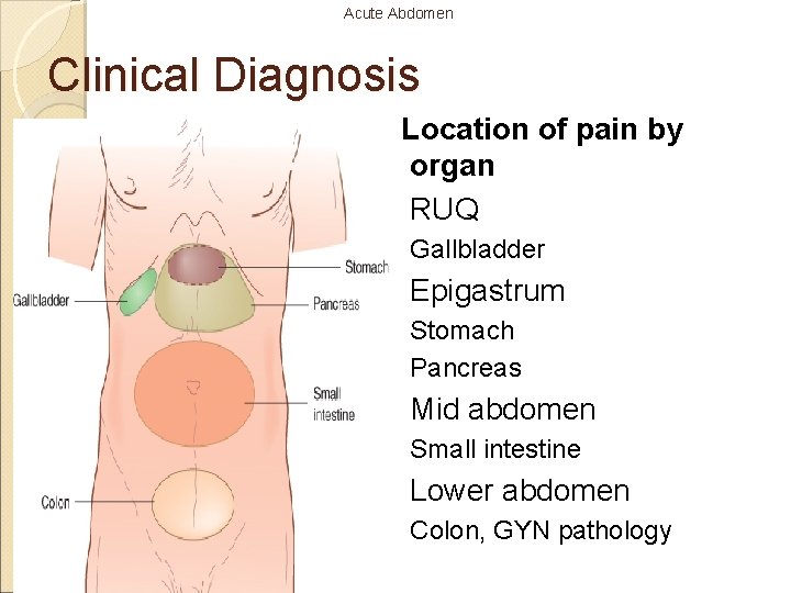 Acute Abdomen Clinical Diagnosis Location of pain by organ RUQ Gallbladder Epigastrum Stomach Pancreas