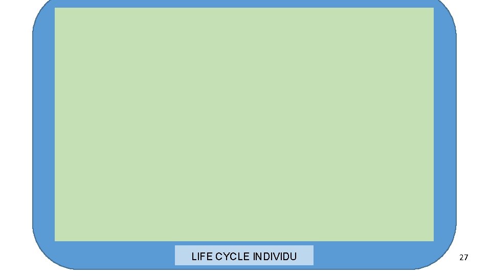 LIFE CYCLE INDIVIDU 27 