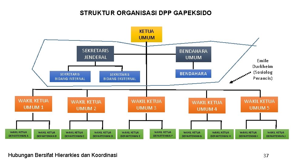 STRUKTUR ORGANISASI DPP GAPEKSIDO KETUA UMUM SEKRETARIS JENDERAL SEKRETARIS BIDANG INTERNAL WAKIL KETUA UMUM