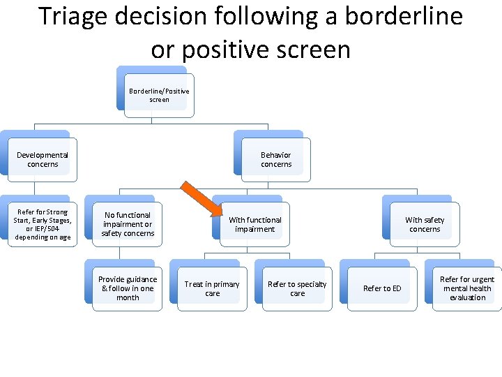 Triage decision following a borderline or positive screen Borderline/Positive screen Developmental concerns Refer for