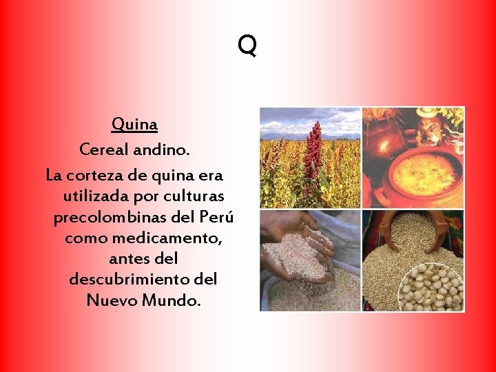 Q Quina Cereal andino. La corteza de quina era utilizada por culturas precolombinas del