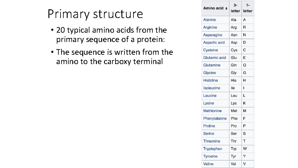 Primary structure • 20 typical amino acids from the primary sequence of a protein: