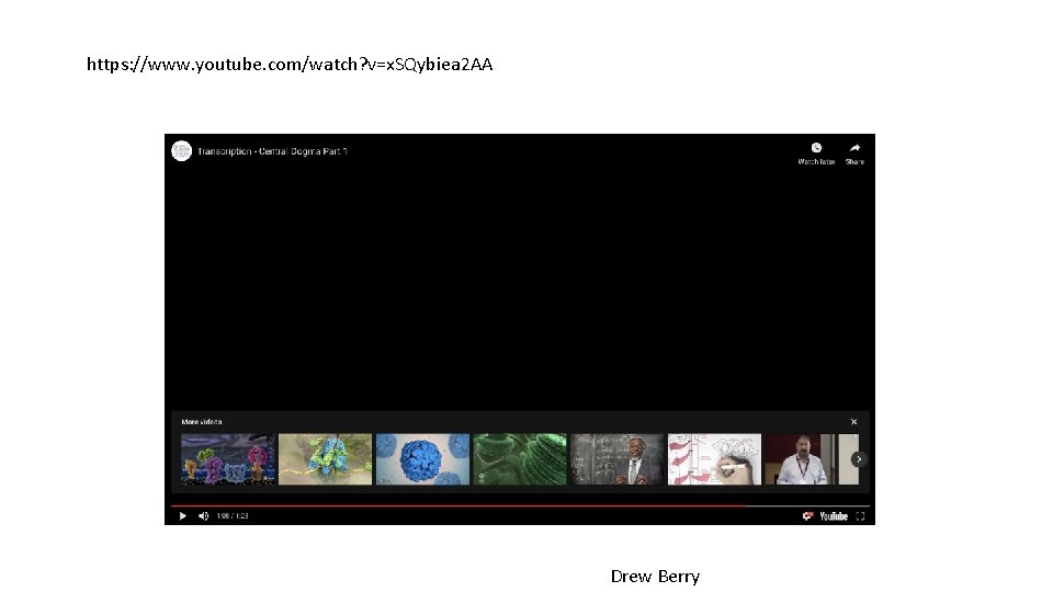 https: //www. youtube. com/watch? v=x. SQybiea 2 AA Drew Berry 