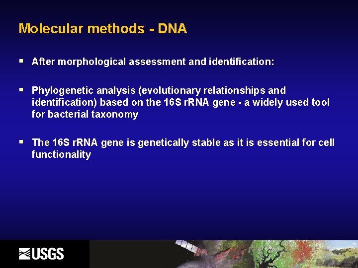 Molecular methods - DNA § After morphological assessment and identification: § Phylogenetic analysis (evolutionary