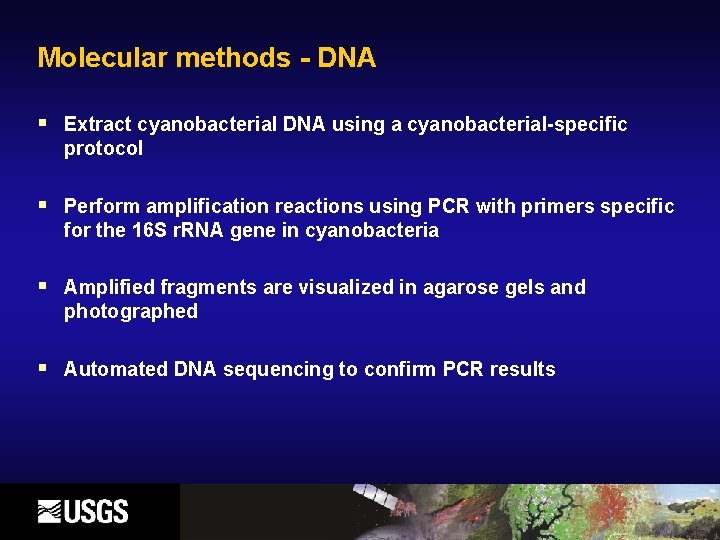 Molecular methods - DNA § Extract cyanobacterial DNA using a cyanobacterial-specific protocol § Perform