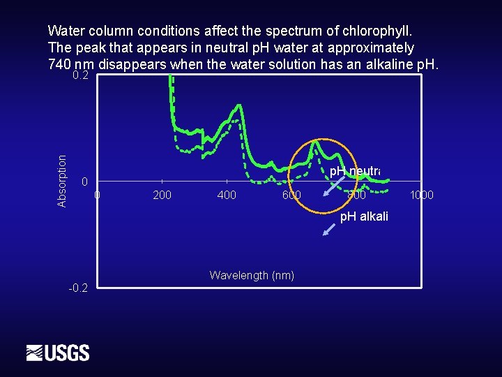 Water column conditions affect the spectrum of chlorophyll. The peak that appears in neutral