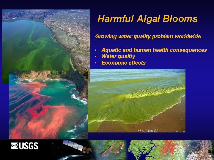 Harmful Algal Blooms Growing water quality problem worldwide • Aquatic and human health consequences