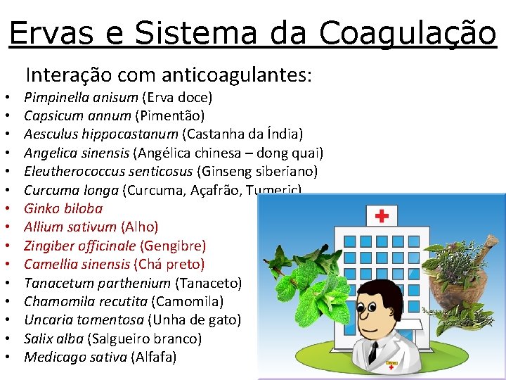 Ervas e Sistema da Coagulação Interação com anticoagulantes: • • • • Pimpinella anisum